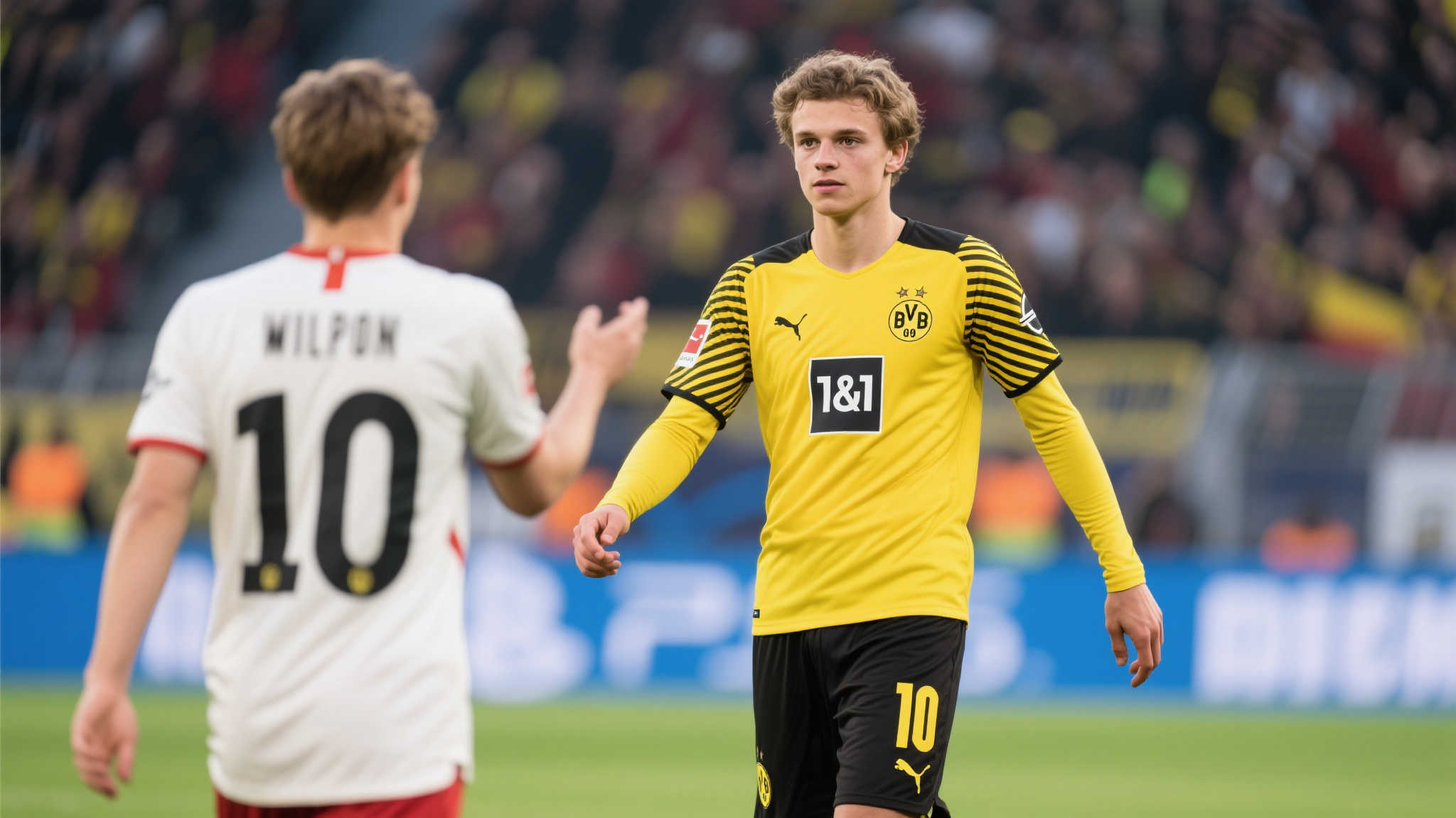 爱游戏平台网页版入口